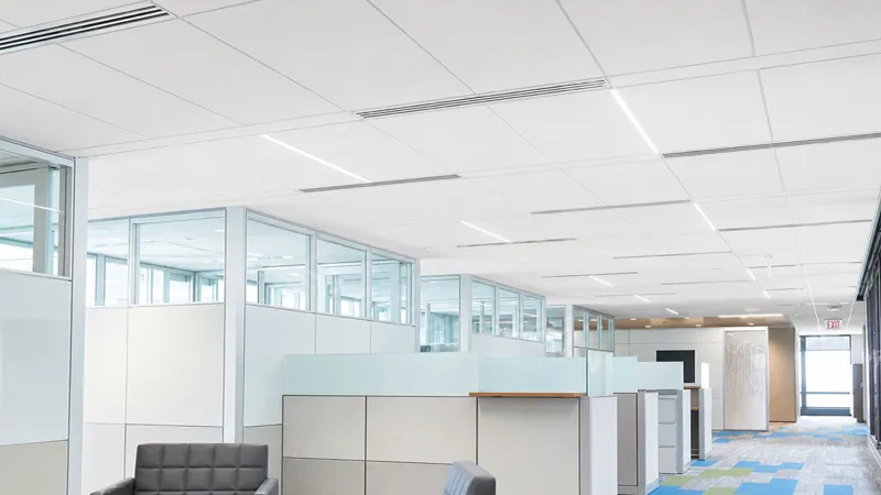 Building & Decorative Applications